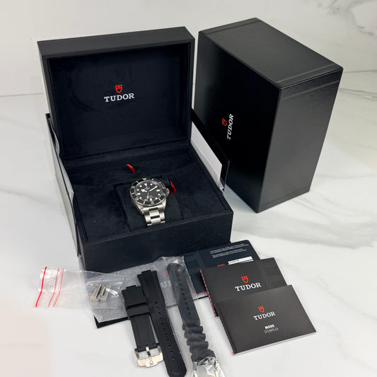 Tudor Pelagos 25407N Titane